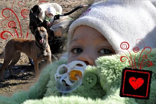 News 2011 de l�origine de faucon rouge Antje Remus