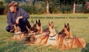 Rainer M�ndelein, Z�chter 