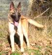 Bilder Flory